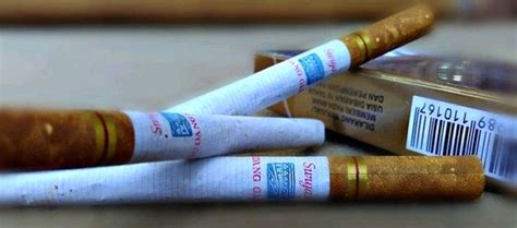 Harga Surya 12 HP Terbaru