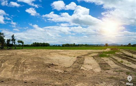 Tips dan Panduan Membeli Tanah Kavling