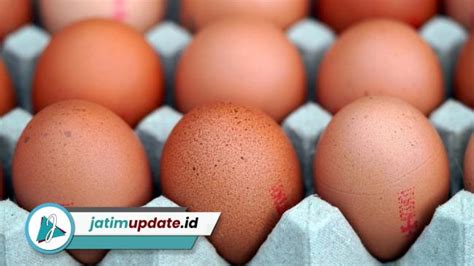 Harga Telur Ayam Ras Blitar Hari Ini