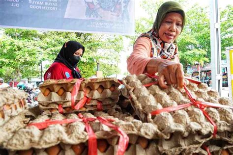 Rekomendasi Membeli Telur Ayam Ras Blitar
