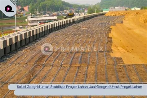 Solusi untuk Meningkatkan Stabilitas Harga Telur