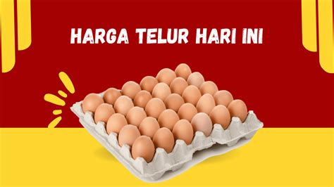 Bagaimana Cara Mendapatkan Harga Telur Salatiga Hari Ini yang Berbeda?