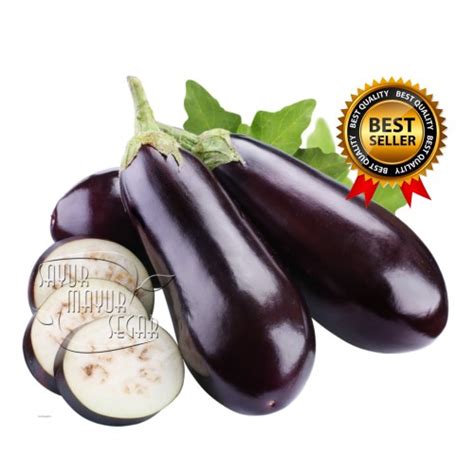 Harga Terong Ungu Per Kg Hari Ini