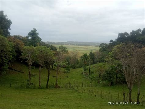 Sejarah dan Fasilitas