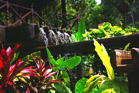 Sejarah Bioskop Botani