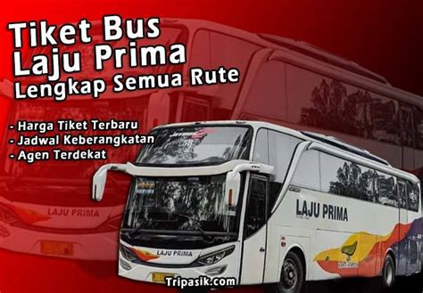 Cara Menemukan Harga Tiket Bus Laju Prima Eksekutif yang Terbaik
