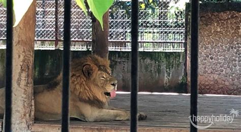 Harga Tiket Kebun Binatang Garut