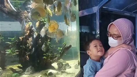 Tips Berkunjung ke Air Tawar TMII