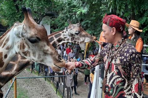 Fasilitas Kebun Binatang Surabaya