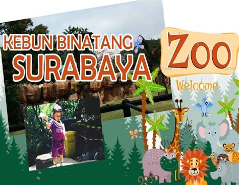 Harga Tiket Masuk Kebun Binatang Surabaya