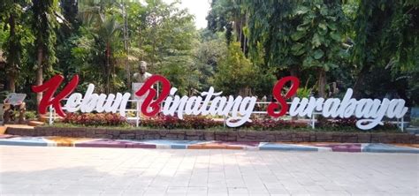 Tips dan Saran untuk Berkunjung Kebun Binatang Surabaya