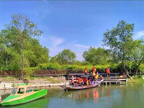 Fasilitas dan Aktivitas di Mangrove Surabaya
