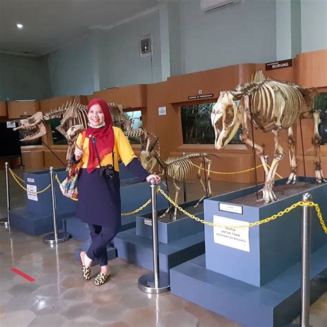 Fasilitas dan Layanan Museum Zoologi Bogor