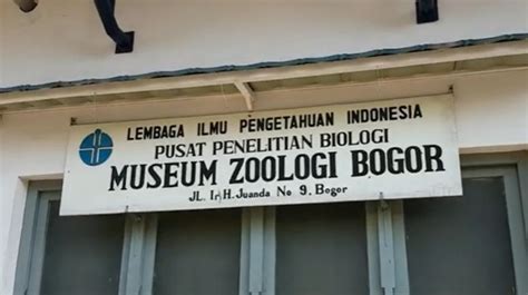 Tujuan dan Fungsi Museum Zoologi Bogor