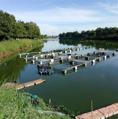 Bagaimana Cara Mendapatkan Harga Tiket Masuk Situ Gintung?