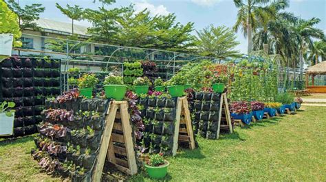 Bagaimana Cara Menuju Urban Farming Purwakarta