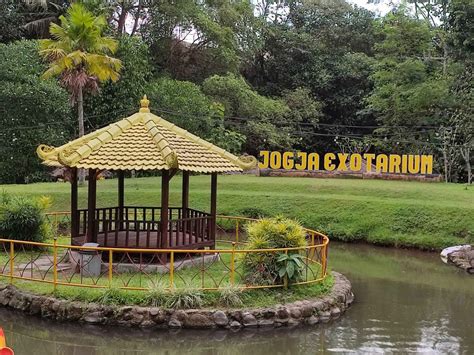 Harga Tiket Mini Zoo Jogja Exotarium