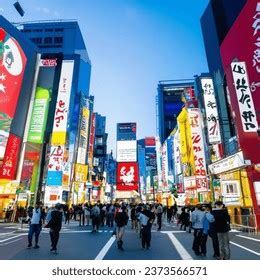 Fasilitas dan Atraksi