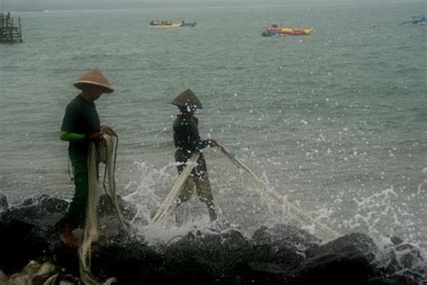 Bagaimana Cara Menangkap Ikan Kerapu Mati?