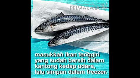 Cara Mengolah Ikan Tenggiri