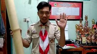 Tips Mempilih Tongkat Taya Pramuka yang Tepat