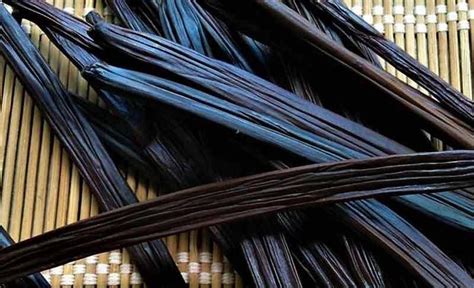 Faktor-Faktor yang Mempengaruhi Harga Vanili Basah per Kg