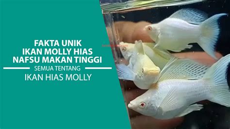 Faktor-Faktor yang Mempengaruhi Nafsu Makan