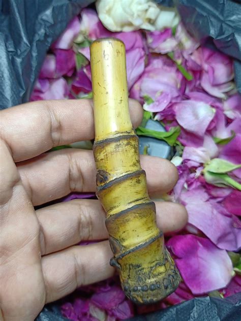 Harga Wesi Kuning Kebal