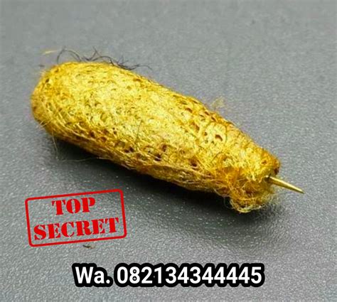Tips Pemilihan Wesi Kuning Kebal