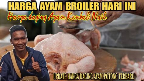 Harga Broiler Hari Ini