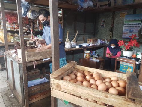 Sejarah Harga Telur Horn