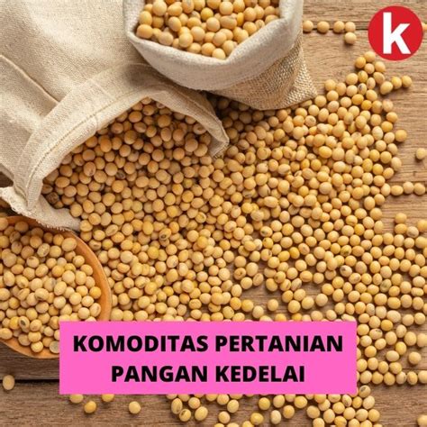 Faktor-Faktor yang Mempengaruhi Harga Komoditas Pertanian