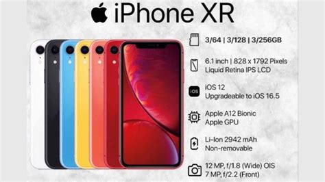 Harga iPhone Turun Drastis: Kesimpulan