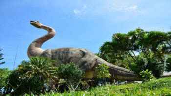 Fasilitas yang Ditawarkan