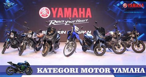 Contoh Sepeda yang Sesuai dengan Kebutuhan dan Anggaran