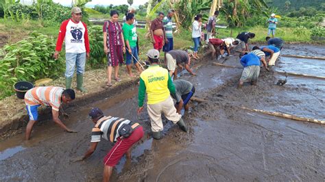 Ketergantungan Petani terhadap Produksi Jerami Padi