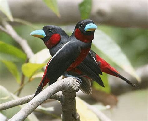 Cara Memilih Sempur Hujan Sungai yang Tepat