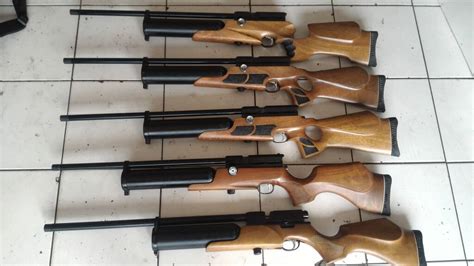 Jenis-Jenis Senapan Gas FX