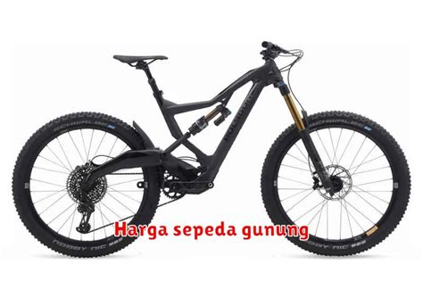 Faktor-Faktor Yang Mempengaruhi Harga Sepeda Keranjang Dewasa Bekas