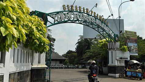 Contoh Harga Sewa Gedung di Taman Wiladatika Cibubur