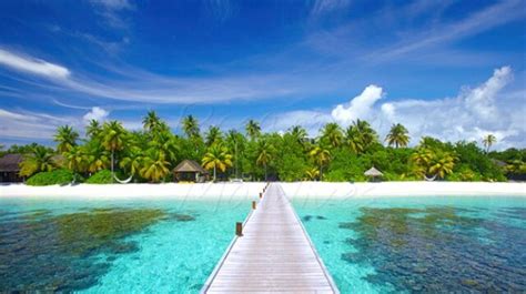 Tips dan Trik untuk Memudahkan Liburan Anda di Karimunjawa