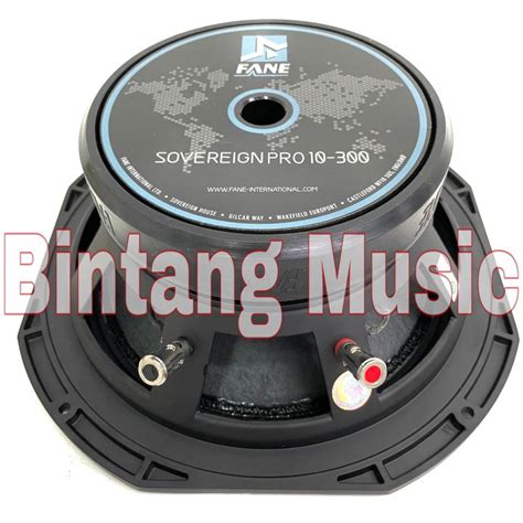 Mengenal Speaker Fane 10